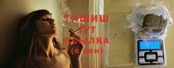прущие грибы Новозыбков