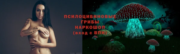 2c-b Новодвинск