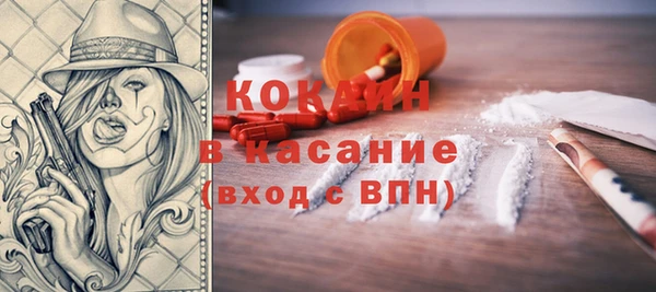 прущие грибы Новозыбков