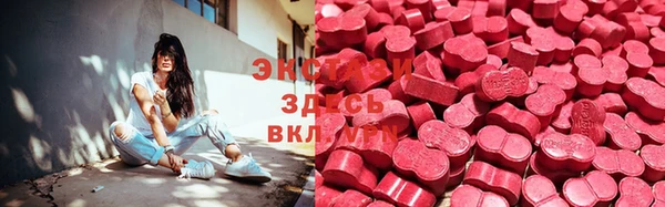 прущие грибы Новозыбков