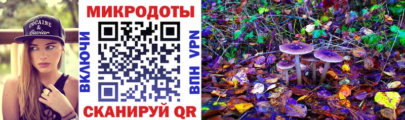 Галлюциногенные грибы Psilocybine cubensis  MEGA зеркало  Большой Камень 