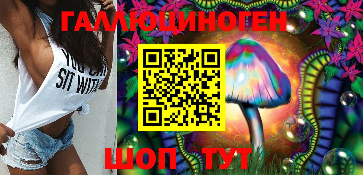Большой Камень  Галлюциногенные грибы Psilocybine cubensis  Вход с VPN 
