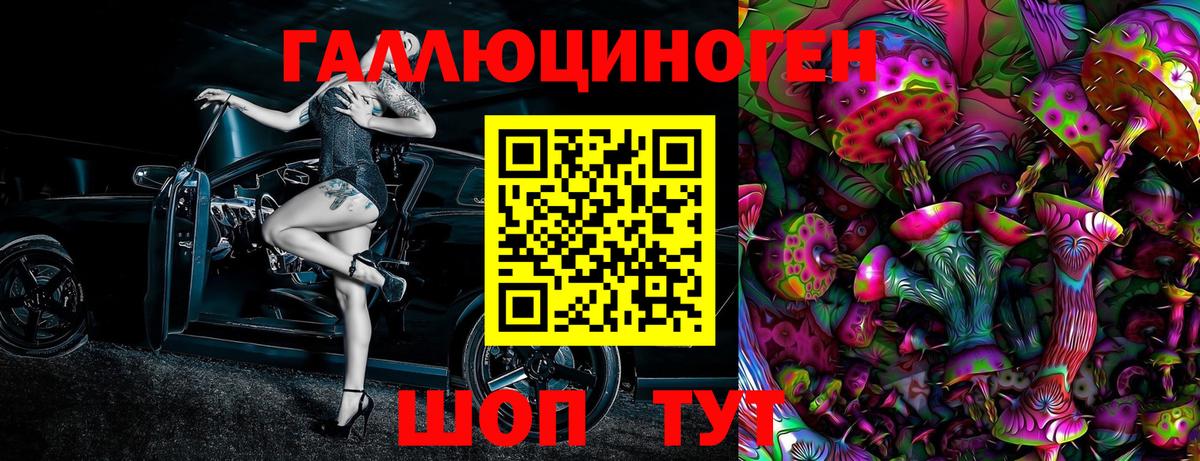 купить наркотик  Большой Камень  Псилоцибиновые грибы мицелий 